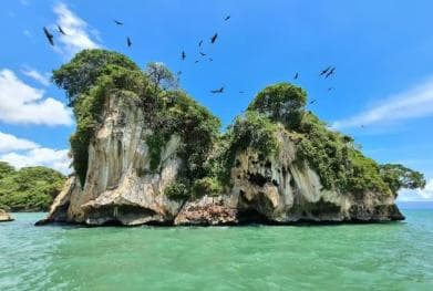 Los Haitises National Park: Private Boat Tour from Caño