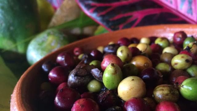 San Juan: Secrets of Espresso Walking Tour