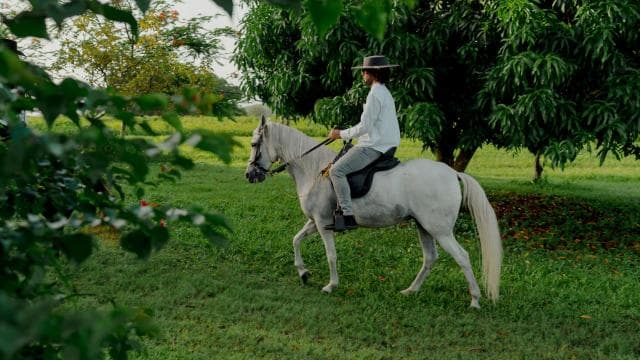 Hacienda Campo Rico: 2-hour history and horse demonstration