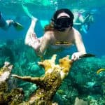 Snorkel Cayo Levantado and Farola island Snorkeling