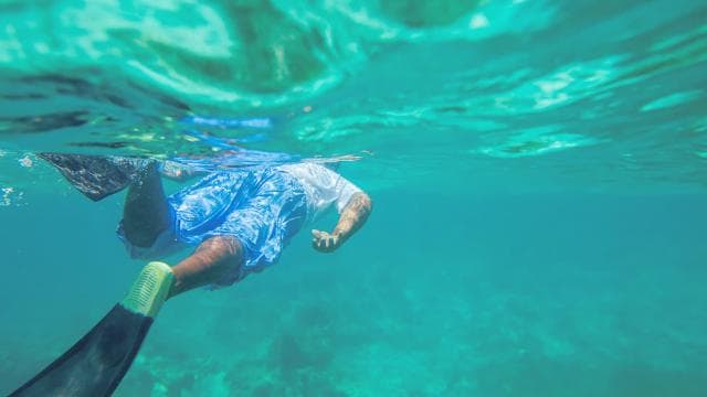 Punta Cana: Full Day Boat Trip to Catalina Island with Lunch