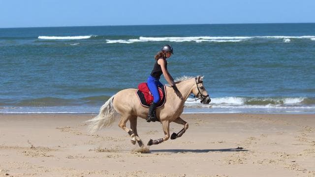 Tamarindo: Horseback to Conchal Beach Guanacaste, Costa Rica