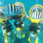 From Punta Cana: ScubaDoo, Snorkel & Glass Bottom Boat Tour