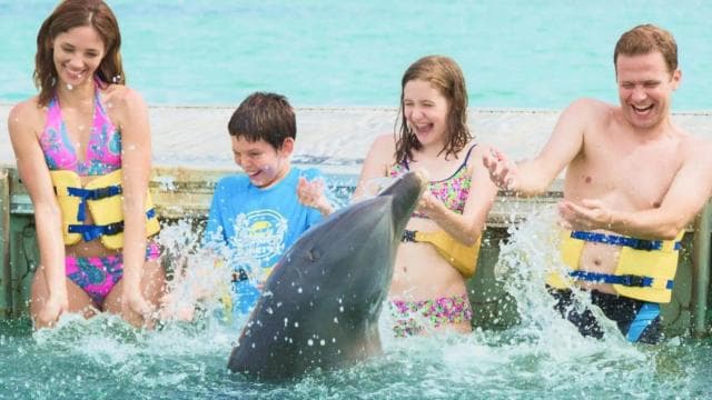 Punta Cana: Dolphin Action Program