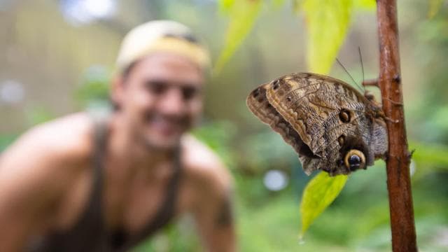 Jaco Beach: 5-in-1 Rainforest Adrenaline Adventure