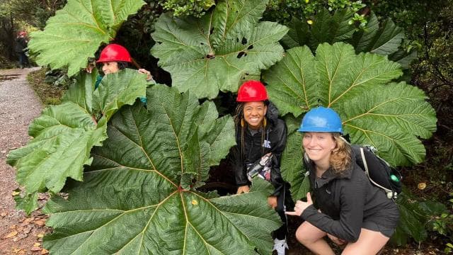 Volcan Poas: Volcan Poas National Park Flora & Fauna Tour