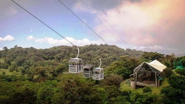 San Jose: Monteverde Sky Tram & Hanging Bridges Day Tour