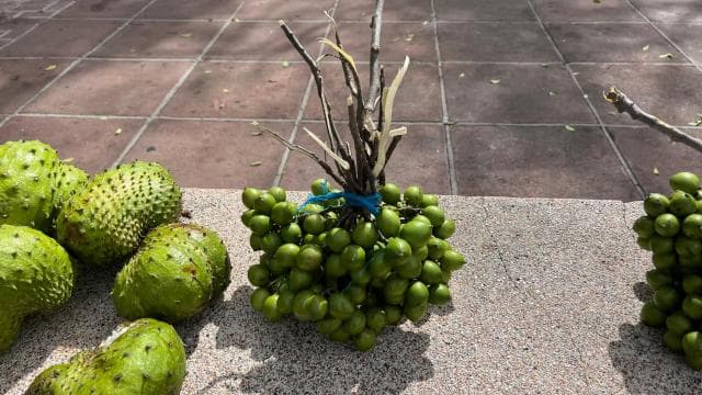 From San Juan: Full-Day Cultural Road Trip to Ponce