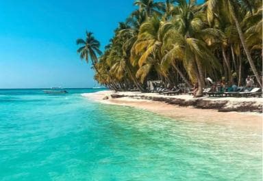 Santo Domingo: Saona Island Day Trip with Lunch and Drinks