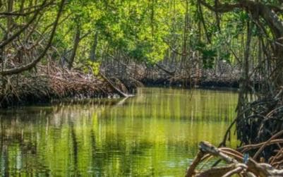Private: Los Haitises National Park 2-Day Tour with Meals