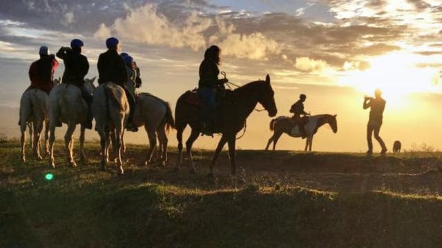 Monteverde: Horseback Riding Tour