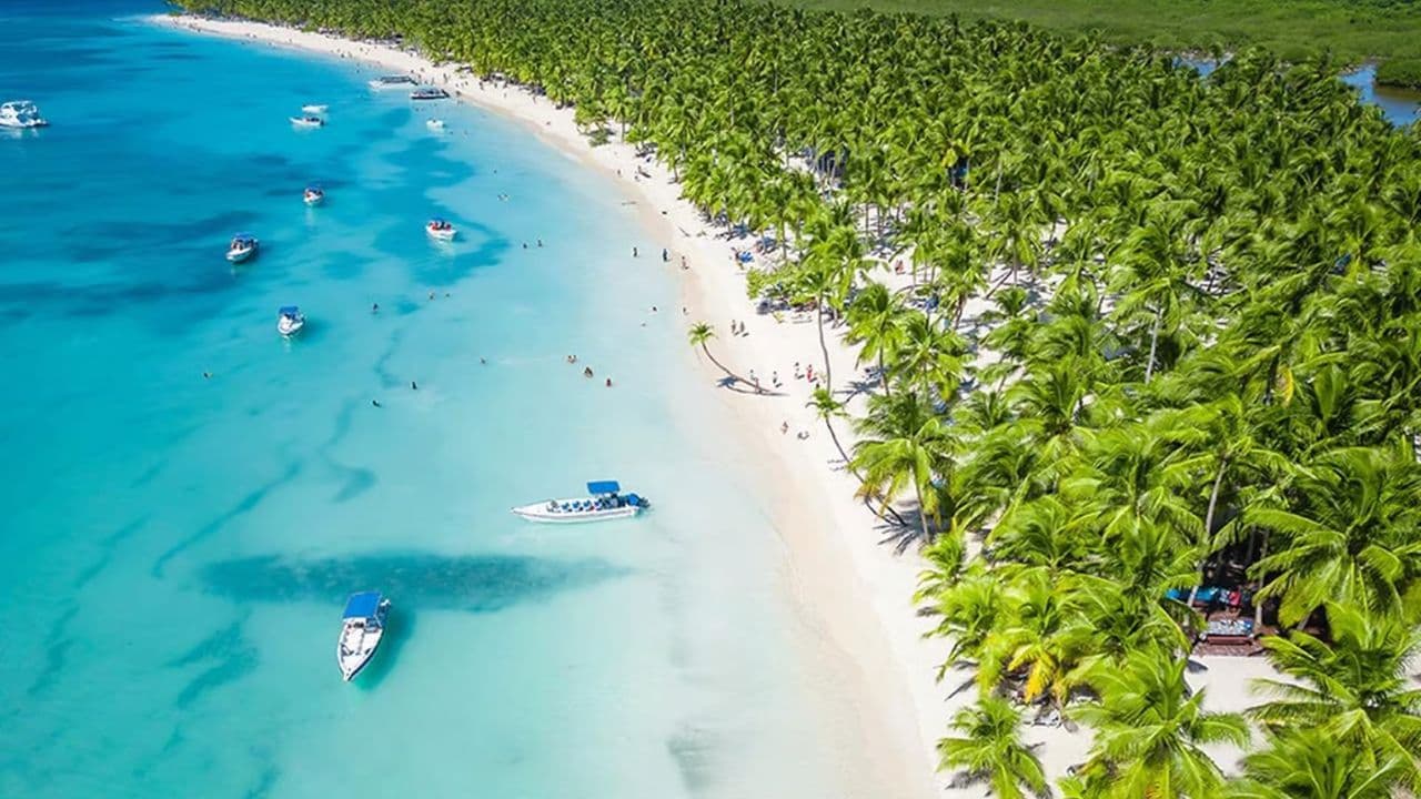 Saona Island: Full-Day Boat Tour with Drinks & Buffet Lunch