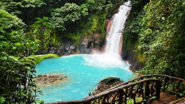 La Fortuna: Rio Celeste Waterfall and National Park Tour
