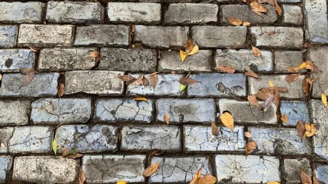 San Juan: Old San Juan Walking Tour with a Certified Guide