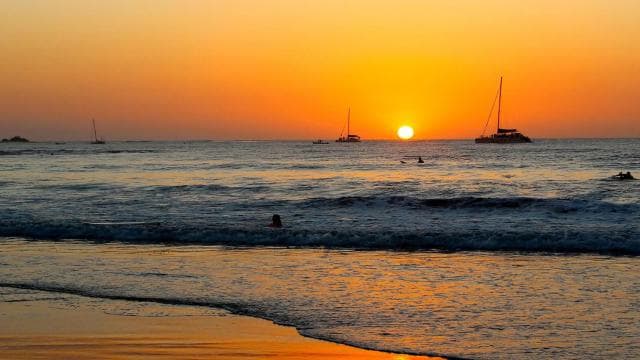 Tamarindo: Turtle Nesting Tour Tamarindo, Guanacaste, CR