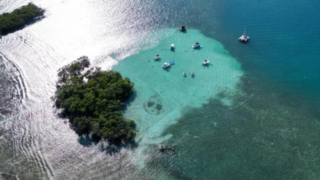 La Parguera: Half day Private Boat tour 4 hours