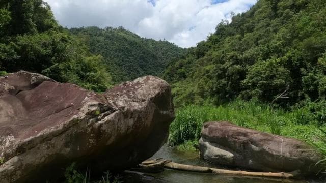 San Juan: Toro Negro River Hike & Cliff Jumping Adventure