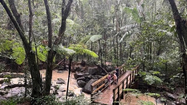 Private & Customizable El Yunque Rainforest Adventure