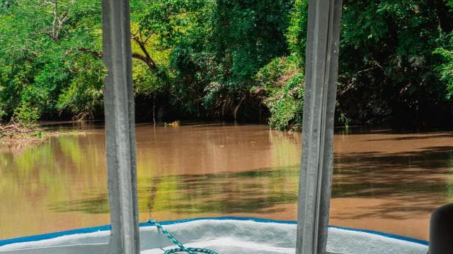 Guanacaste: Palo Verde Boat Tours