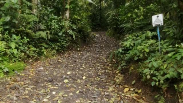La Fortuna Volcano Hike El Silencio Trail