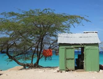 Bahía de las Aguilas: Beach Day Trip by Boat