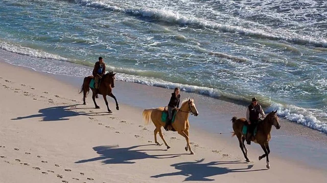 Puerto Plata: 2-Hour Horseback Ride on the Beach