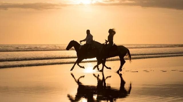 Esterillos Este: Manuel Antonio Beach Horseback Ride