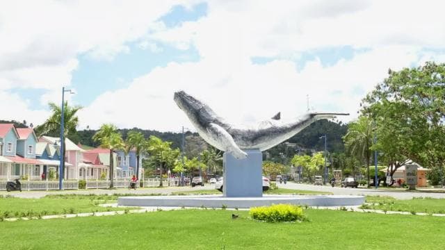 Punta Cana: Playa Rincon, Samana, & Cayo Levantado Day Trip