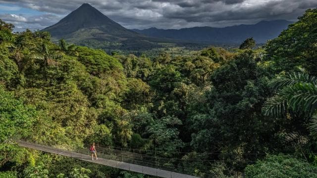 La Fortuna: Hanging Bridges, Arenal Volcano, and Falls Tour