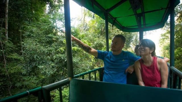 From Jaco: Aerial Tram Tour including Transportation