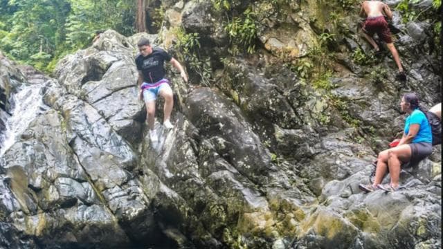 Vivid Day Tour in El Yunque Rain Forest with Transportation