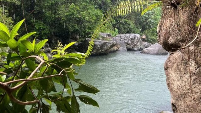 Luquillo: Rainforest Adventure with Food & Photos