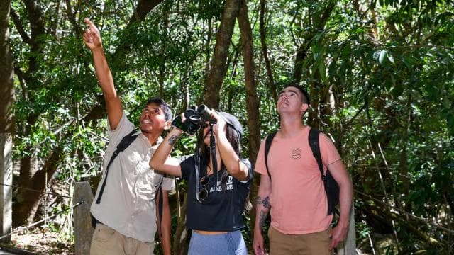 Rincón de la Vieja National Park: Las Pailas trail