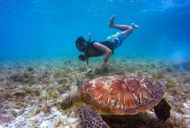 Full-Day Snorkeling Tour to Catalina Island