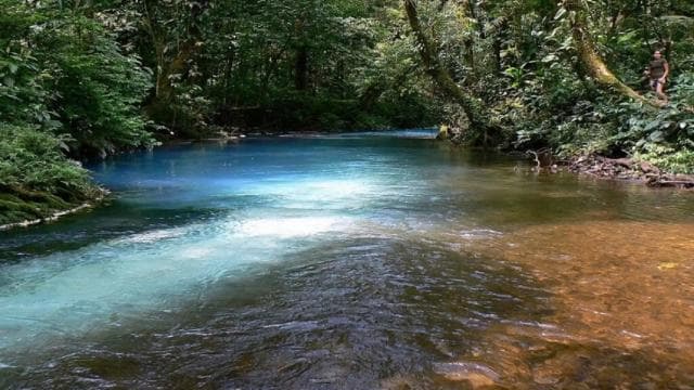 La Fortuna Town: Rio Celeste and Tenorio National Park Tour