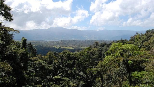 Arenal: Hanging Bridges Walking Tour