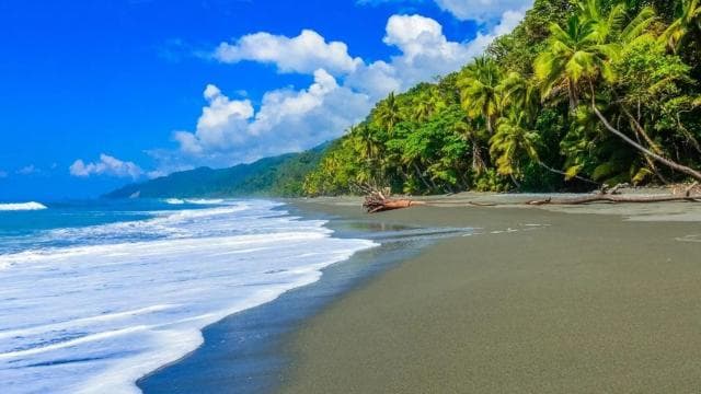 Corcovado National Park: Guided Hiking Tour - Full Day