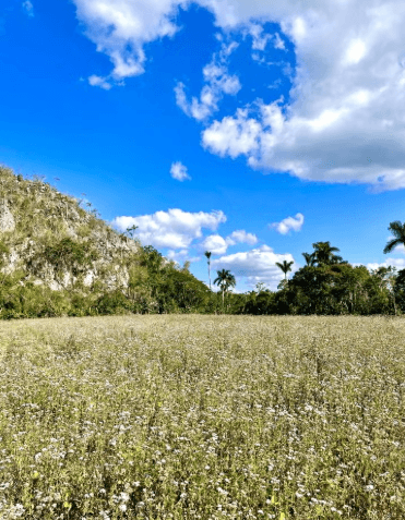 Viñales Sunset Hike