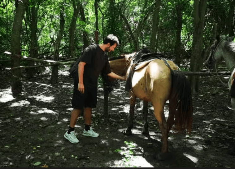 El Pilón Waterfall Horseback Day Trip