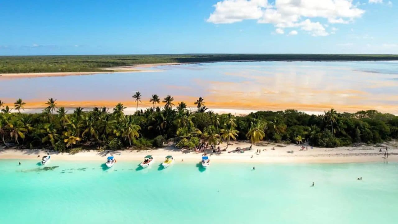 Punta Cana: Isla Saona Day Trip with Catamaran Party