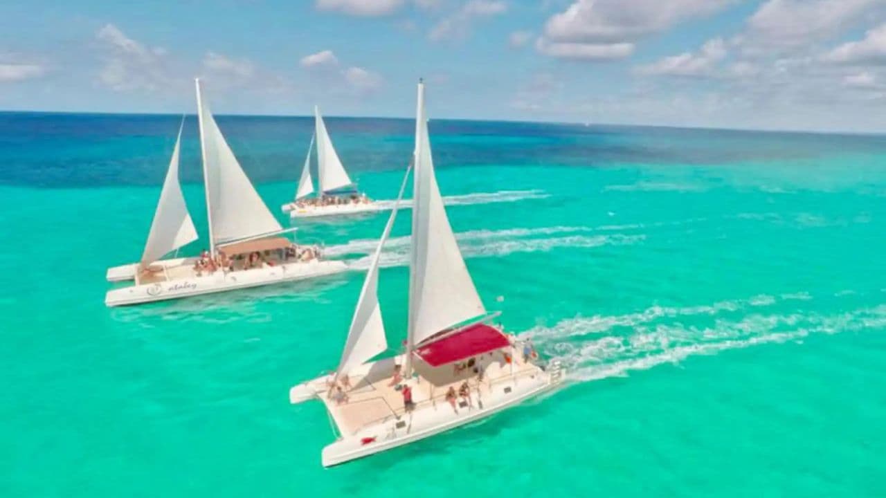 Saona Island Tour with Lunch from Punta Cana