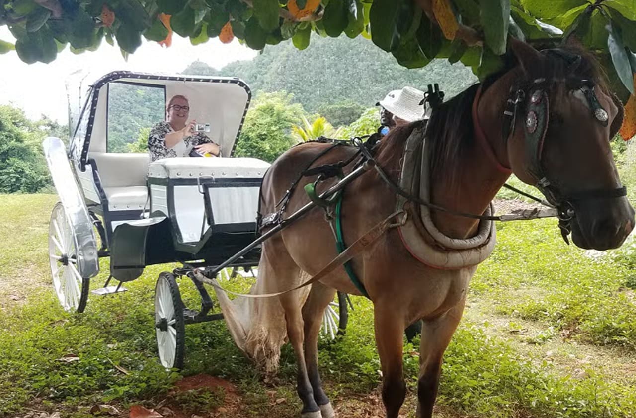 Viñales Valley Carriage Ride