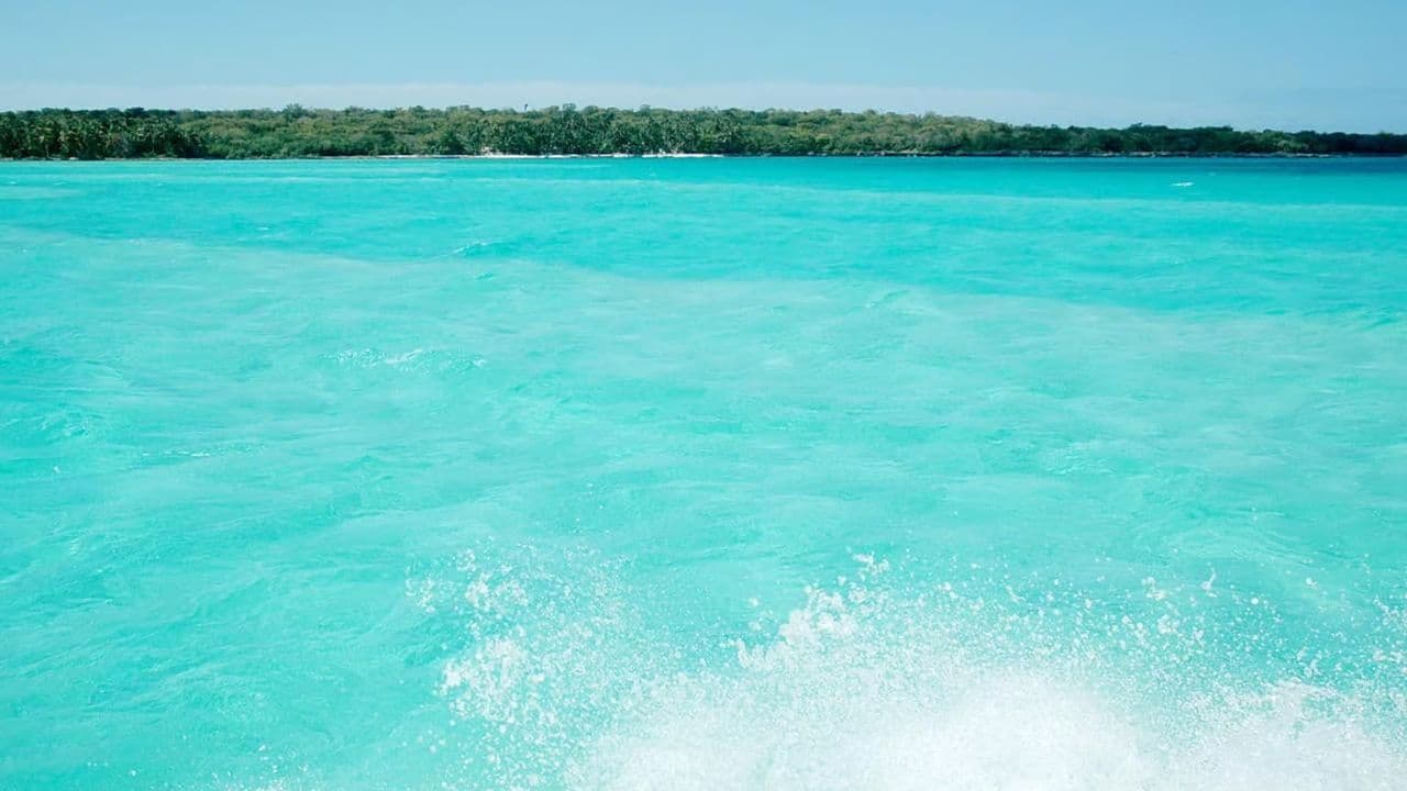 From Punta Cana: Zip Line Canopy Adventure Tour with Pickup