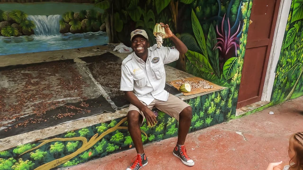 Punta Cana: Half-day tour Monkey Land Safari Tour