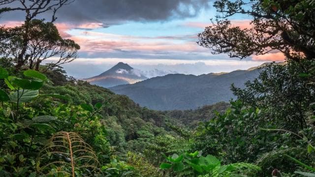 From Fortuna: 2 Day Hike to Monteverde with Hotel Transfer