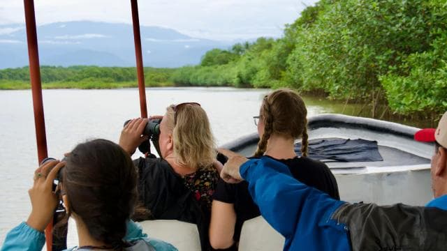 Quepos: Damas Island Authentic Local Mangrove Boat Tour