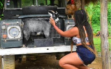 Punta Cana: Zipline, Chairlift, Buggy & Horse Ride Adventure