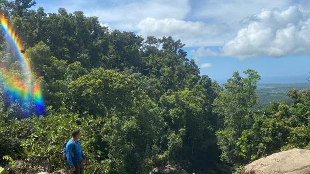 El Yunque: Hidden Off The Path Waterfall Hike w/ Transport