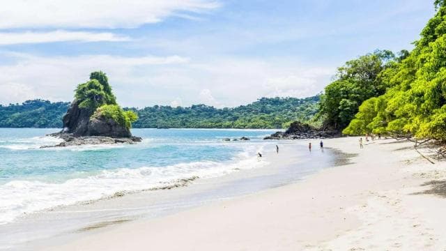 Manuel Antonio: Discover the tropical forests & white-sand