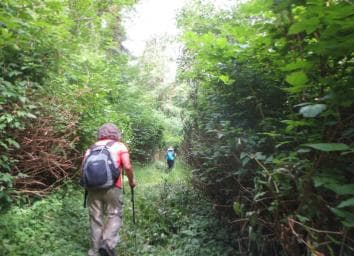Damajagua: 27 Waterfalls Tour with Entrance Fee & Lunch